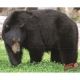 DuraMesh Archery Target, Black Bear 25 in. x 32 in., DM202