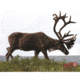 DuraMesh Archery Target Caribou, 25 in. x 32 in., Brown 1001414
