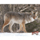 DuraMesh Archery Target Coyote, 25 in. x 32 in., Grey 1001415