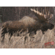 DuraMesh Archery Target, Moose 25 in. x 32 in. DM214