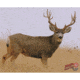 DuraMesh Archery Target, Mule Deer 2 25 in. x 32 in. DM216