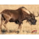 DuraMesh Archery Target, Black Wildebeest, Multi, 25 x 32in, DM233