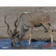 DuraMesh Archery Target Kudu 25 in. x 32 in.