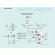 Nikon Eclipse 100 Microscope System Diagram