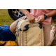 Eagle Creek Gear Warrior XE 4 Wheeled Carry-On Luggage, Sand Dune, EC030402314