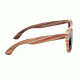Earth Delray Sunglasses, 016gm, ESG016GM