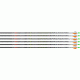 Easton Arrow Da Torch 6mm 330 W/ 2'' Blazer Vanes 6-pack