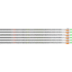 Easton Arrow Da Torch 6mm 400 W/ 2'' Blazer Vanes 6-pack