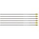 Easton Arrow Sonic 6.0 500 w/2in Bully Vanes 6-pack, 330642