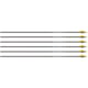 Easton Arrow Sonic 6.0 340 w/2in Bully Vanes 6-pack, 430632