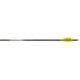 Easton X10 Parallel Pro Hunter Arrow Shafts, 001in, 250, 6 Pack, Black, 201334