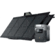 EcoFlow DELTA Mini w/ 2 Solar Panel, 110W, Black, DELTAminiUS112