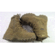 EDEMO Smith &amp; Wesson Mens Breach 2.0 Waterproof 8in Side Zip Boots, Coyote, Wide, 7.5 US, 810403-7.5-W, EDEMO1