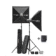 Elinchrom D-Lite RX 4/4 KIT EL 20842.2