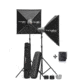 Elinchrom D-Lite RX 4/4 Kit with Stands EL 20852KIT