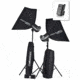 Elinchrom Style 500/500 Multi-Voltage BXRi To Go Kit with stands EL-20751KIT