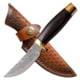 Elk Ridge Persian Fixed Blade Knife, 3.5 in, Damascus Steel, Brown, ER-050DM