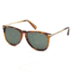 Ermenegildo Zegna EZ0038 Sunglasses - Coloured Havana Frame Color