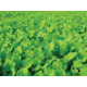 Evolved Habitats Prograze - 4Lb, Black, EVL-EVO70400