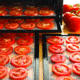 Excalibur Model 2900ECB 9-Tray Dehydrator, 15 Sq/Ft. Drying Space, Black, 2900ECB