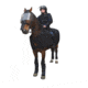 ExecDefense USA Horse Riot Protection Blanket