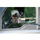 Exothermic Lil Window Dyck, Black, WD-LWD