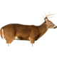 Extreme Dimension Wildlife Calls Phantom HD Decoy - Buck Whitetail ED-PD-502