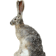 Extreme Dimension Wildlife Calls Phantom HD Decoy - Jack Rabbit ED-PD-513