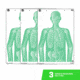 EZ-Aim Fun Group Paper Target Assortment, 12inW x 18inH, 3-Pack, Green, 15651