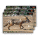 EZ-Aim Splash Non-Adhesive Coyote Target, Green, 13X24, 15266
