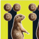 EZ-Aim Splash Non-Adhesive Prairie Dog Target, Green, 8X8, 15264