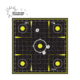 EZ-Aim Splash Reactive Paper Shooting Targets, Sight-In Grid, Peel Away Target Pad, 12.5in Square, 30-Pack, Black/Chartreuse, 15211-30