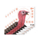EZ-Aim Turkey Target, 6-Pk, 12X12, 15322