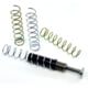DPM Walther PDP F 3.5in Telescopic Recoil Spring