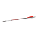 Tenzing Bloodsport Witness Crossbow Bolt 22 300 Spine 6/pk 8E341118, GMBLSB8112053