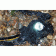 Fenix HL21 Headlamp - Waterproof