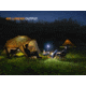 Fenix Lighting CL20R PRO Lithium Ion 400 Lumens Lanterns