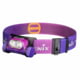 Fenix HM65R-T V2.0 Lithium Ion 1600 Lumens Luminus SST40 LED, Luminus SST20 LED Headlamp, Nebula, HM65RTV2NE