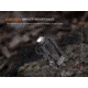 Fenix Lighting HP35R SAR Lithium Ion 4000 Lumens Headlamp