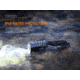 Fenix Lighting LR35R Lithium Ion 10000 Lumens Luminus SST40 LED Flashlight, Black, LR35RSBK