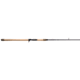 Fenwick HMG Predator Casting Rod