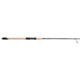 Fenwick World Class Inshore Spinning Rod
