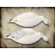 Final Approach Last Pass 12 Pack Snow Goose, Shells Feeder, Box