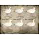 Final Approach FA Last Pass HD Snow Goose Full-Body (Uprights) 474190 w/ Free S&amp;H