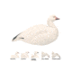Final Approach Last Pass HD Snow Goose, Shells Outfitters 12 Pack 474188