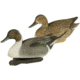 Final Approach Pintail Decoy, 6 Pack 474340