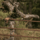 First Lite 308 Whitetail Pants - Mens