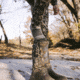 First Lite All Season Merino Crew Socks