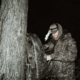 First Lite LZ Jacket - Mens