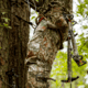 First Lite Trace Pants - Mens